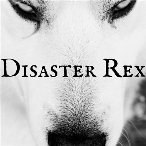 Disaster Rex - Disaster Rex (2020)