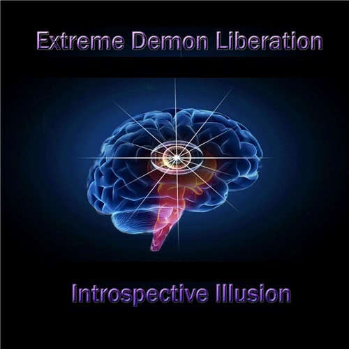 Extreme Demon Liberation - Introspective Illusion (2020) скачать