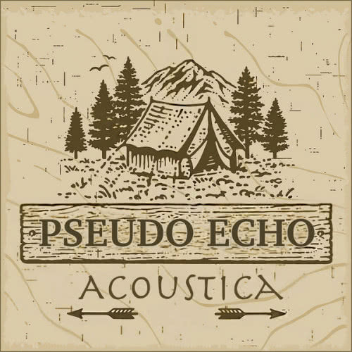 Pseudo Echo - Acoustica (2020) скачать