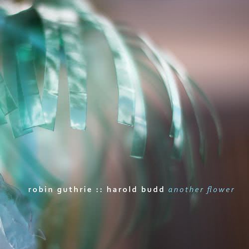 Robin Guthrie And Harold Budd - Another Flower (2020)