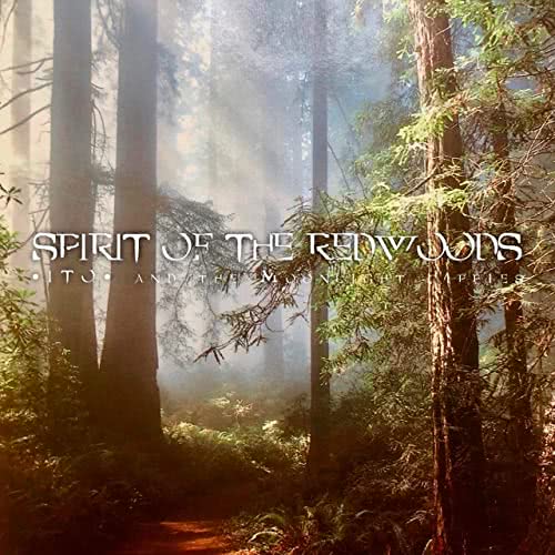 ITO And The Moonlight Hippies - Spirit Of The Redwoods (2020) скачать