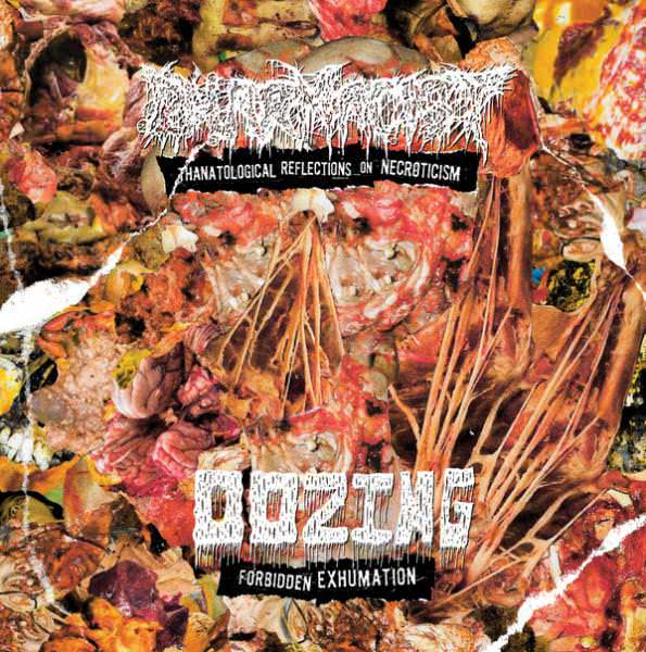 Oozing & Pharmacist - Forbidden Exhumation/Thanatological Reflections On Necroticism (2020) скачать