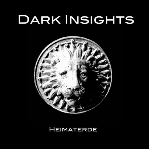 Dark Insights - Heimaterde (2020) скачать