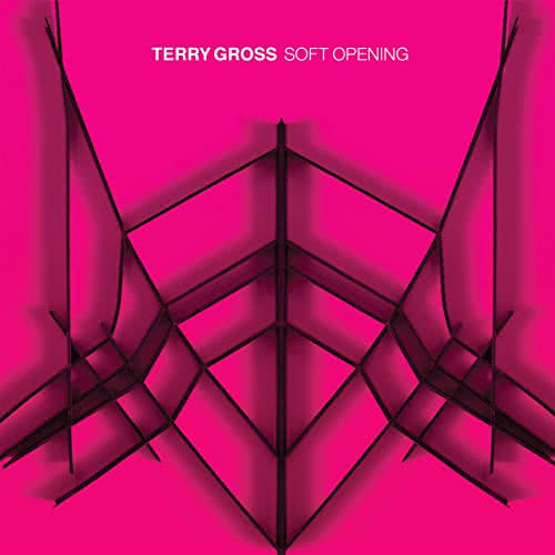 Terry Gross - Soft Opening (2021)