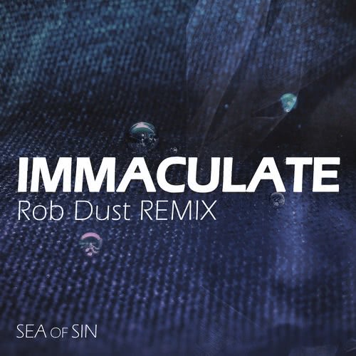 Sea Of Sin - Immaculate (2021)